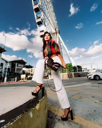 AMBAJ CROSSOVER TRIPLE DECKER MOȘTENITORUL TRONULUI