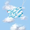 AMBREIAJ SKYBORNE CROSSOVER AMBREIAJ SKYBORNE CROSSOVER
