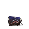 CAMPIONUL AMBREIAJULUI GALAXY CROSSOVER