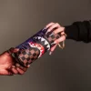 CAMPIONUL PUNGII GALAXY