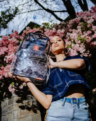 CLAR CA NOAPTEA – RUCSAC CLEAR DLX