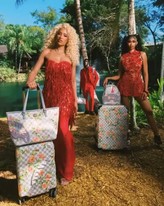 RUCSAC ELEGANT CU ENERGIE SAVAGE, A.I. AFRICAN INTELLIGENCE – COLABORAREA SANDFLOWER