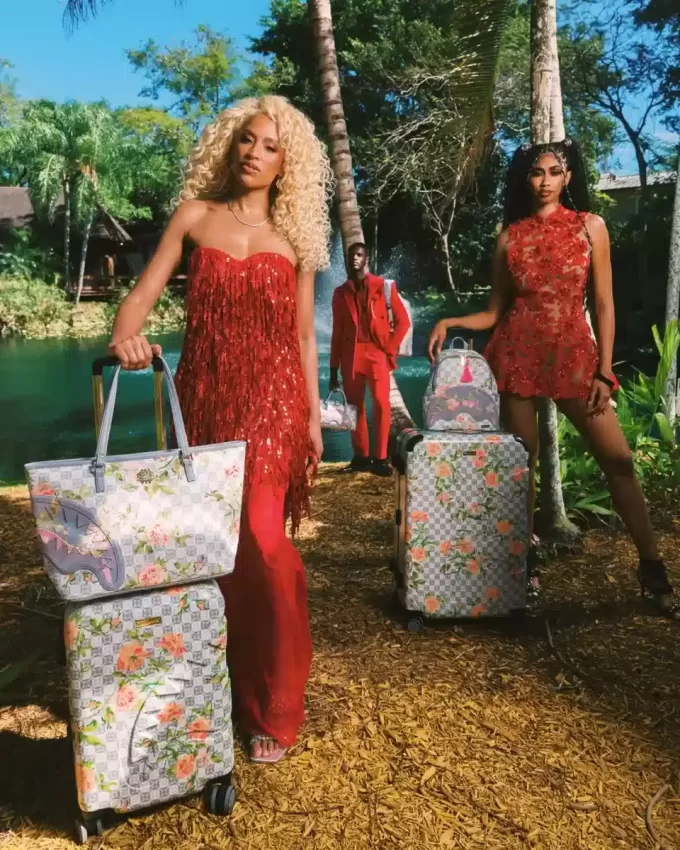 A.I. INTELIGENȚĂ AFRICANĂ ENERGIE ELEGANTĂ SHARKITECTURĂ BAGAJ DE MÂNĂ – COLABORAREA SANDFLOWER A.I. INTELIGENȚĂ AFRICANĂ ENERGIE ELEGANTĂ SHARKITECTURĂ BAGAJ DE MÂNĂ – COLABORAREA SANDFLOWER