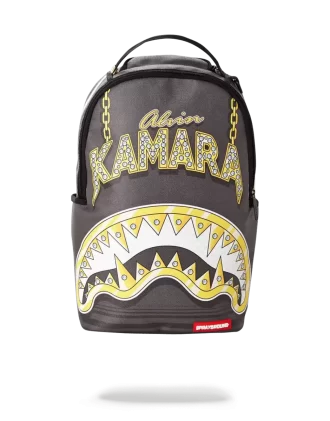 KAMARA SPRE VIITOR