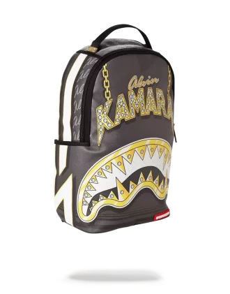 KAMARA SPRE VIITOR
