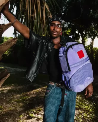 NU SE POATE!!! UN RUCSAC REVERSIBIL – VELUR MOV PENTRU UN RUCSAC OG SHARKS IN PARIS