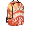POKEMON CHARMANDER RECHINUL DE FOC POKEMON CHARMANDER RECHINUL DE FOC
