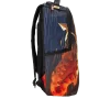 RECHIN METEOR ASTRONAUT DE AUR RECHIN METEOR ASTRONAUT DE AUR