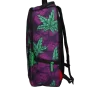 REGINA INDICA REGINA INDICA