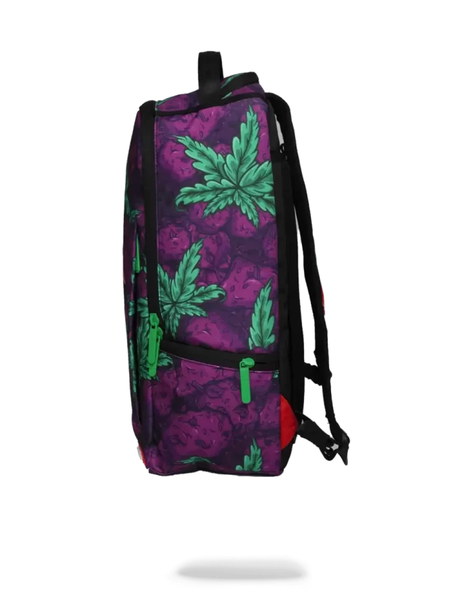 REGINA INDICA REGINA INDICA