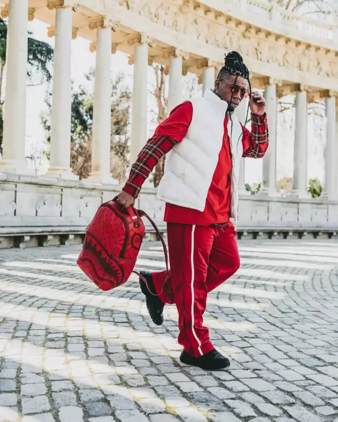 RUCSAC CU MODEL DE BANI ȘI CĂRĂMIZI (DLXV)