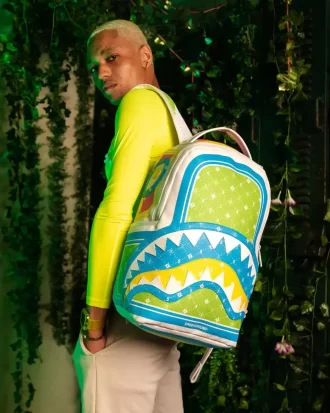 RUCSAC MODUS OPERANDI CHAMELEON (DLXV)