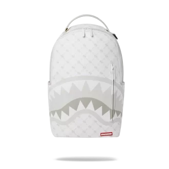 RUCSAC PUDRĂ CU MODEL DE BANI (DLXV)