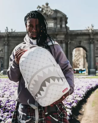 RUCSAC PUDRĂ CU MODEL DE BANI (DLXV)