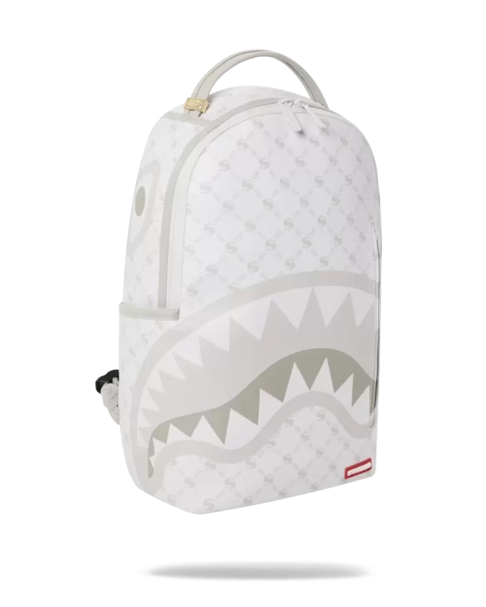 RUCSAC PUDRĂ CU MODEL DE BANI (DLXV) RUCSAC PUDRĂ CU MODEL DE BANI (DLXV)