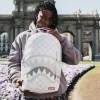 RUCSAC PUDRĂ CU MODEL DE BANI (DLXV) RUCSAC PUDRĂ CU MODEL DE BANI (DLXV)