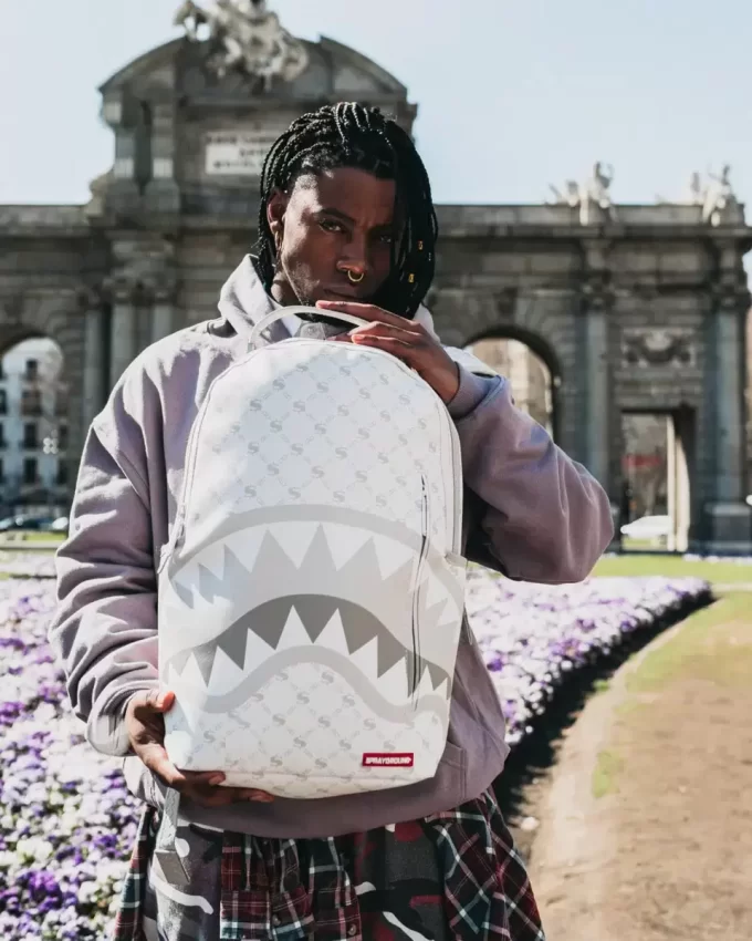 RUCSAC PUDRĂ CU MODEL DE BANI (DLXV) RUCSAC PUDRĂ CU MODEL DE BANI (DLXV)