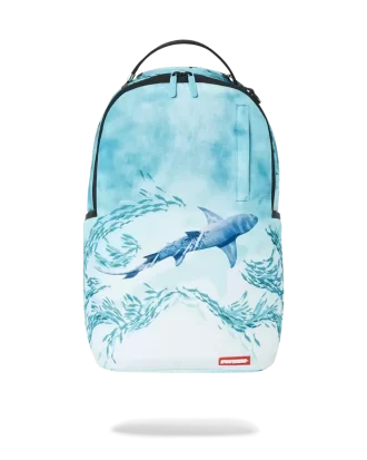RUCSAC SMOOTH SHARK