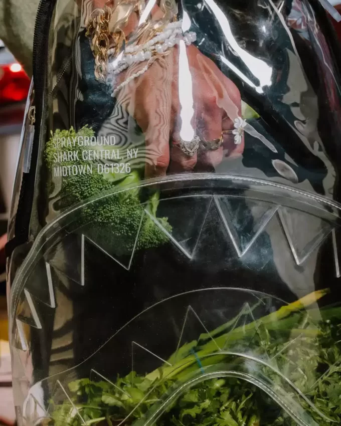 RUCSAC TRANSPARENT – SHARK CENTRAL RUCSAC TRANSPARENT – SHARK CENTRAL