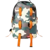 RUCSAC YOUNG DOLPH RUCSAC YOUNG DOLPH